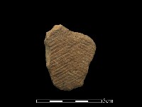 陶片藏品圖，第1張