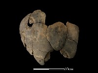 陶罐藏品圖，第2張