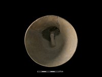 陶蓋藏品圖，第2張