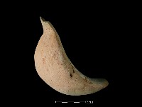 陶罐藏品圖，第2張