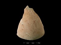 陶罐藏品圖，第3張