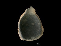 陶罐藏品圖，第1張