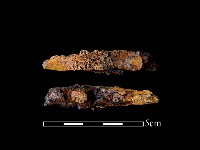 尖器藏品圖，第1張