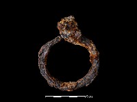 鐵環藏品圖，第2張