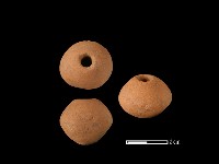 紡輪藏品圖，第1張