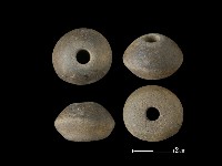 紡輪藏品圖，第1張