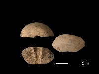 紡輪藏品圖，第1張