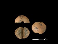 紡輪藏品圖，第1張