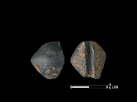 紡輪藏品圖，第1張