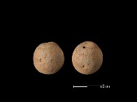 陶珠藏品圖，第1張