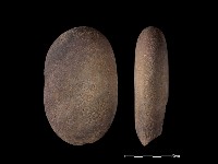 陶珠藏品圖，第2張