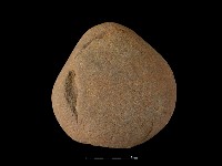 陶片藏品圖，第2張