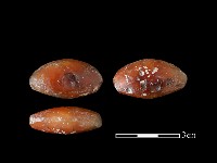 瑪瑙珠藏品圖，第1張