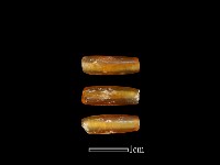 玻璃珠藏品圖，第1張