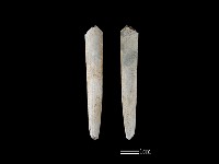 骨簪藏品圖，第1張