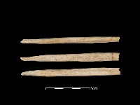 帶加工痕獸骨藏品圖，第1張