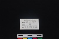 梅花鹿骨藏品圖，第3張