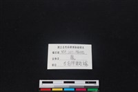 梅花鹿骨藏品圖，第4張