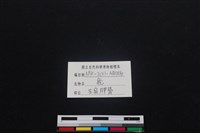 梅花鹿骨藏品圖，第3張