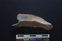 梅花鹿骨藏品圖，第1張