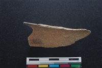 梅花鹿骨藏品圖，第2張