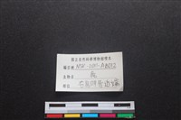 梅花鹿骨藏品圖，第3張