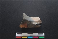 梅花鹿骨藏品圖，第1張