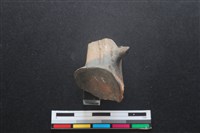 梅花鹿骨藏品圖，第3張