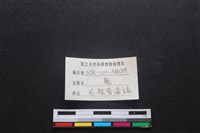 梅花鹿骨藏品圖，第3張