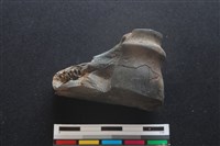 梅花鹿骨藏品圖，第1張