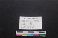 梅花鹿骨藏品圖，第3張