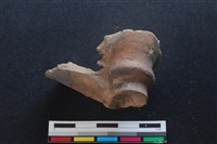 梅花鹿骨藏品圖，第2張