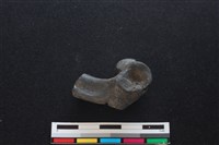 梅花鹿骨藏品圖，第1張