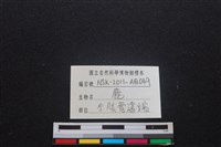 梅花鹿骨藏品圖，第3張