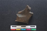 梅花鹿骨藏品圖，第1張