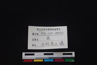 梅花鹿骨藏品圖，第3張
