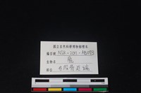 梅花鹿骨藏品圖，第3張