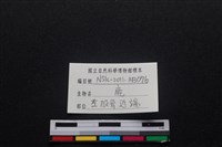 梅花鹿骨藏品圖，第3張