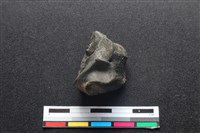 梅花鹿骨藏品圖，第1張