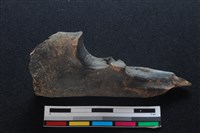 梅花鹿骨藏品圖，第1張