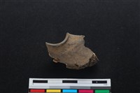 梅花鹿骨藏品圖，第1張