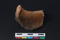 梅花鹿骨藏品圖，第1張