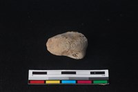 梅花鹿骨藏品圖，第2張