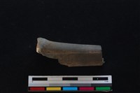 梅花鹿骨藏品圖，第1張