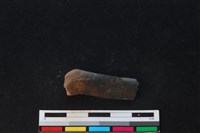 梅花鹿骨藏品圖，第2張