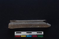 梅花鹿骨藏品圖，第1張