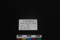 梅花鹿骨藏品圖，第3張