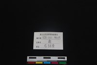 梅花鹿骨藏品圖，第3張