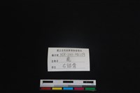 梅花鹿骨藏品圖，第3張