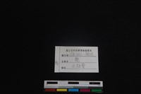 梅花鹿骨藏品圖，第3張